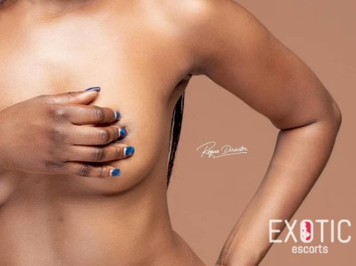Sexy Rider, escort in Bulawayo Town, Zimbabwe (photo 3)